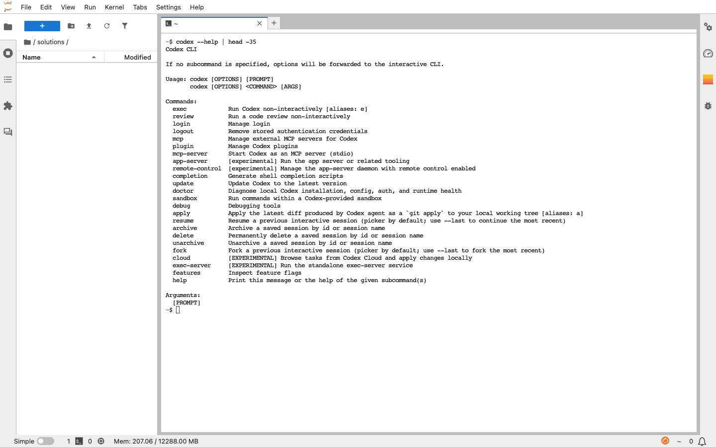 JupyterLab terminal showing the Codex command-line interface and commands for review, sandboxing, resuming and applying changes.