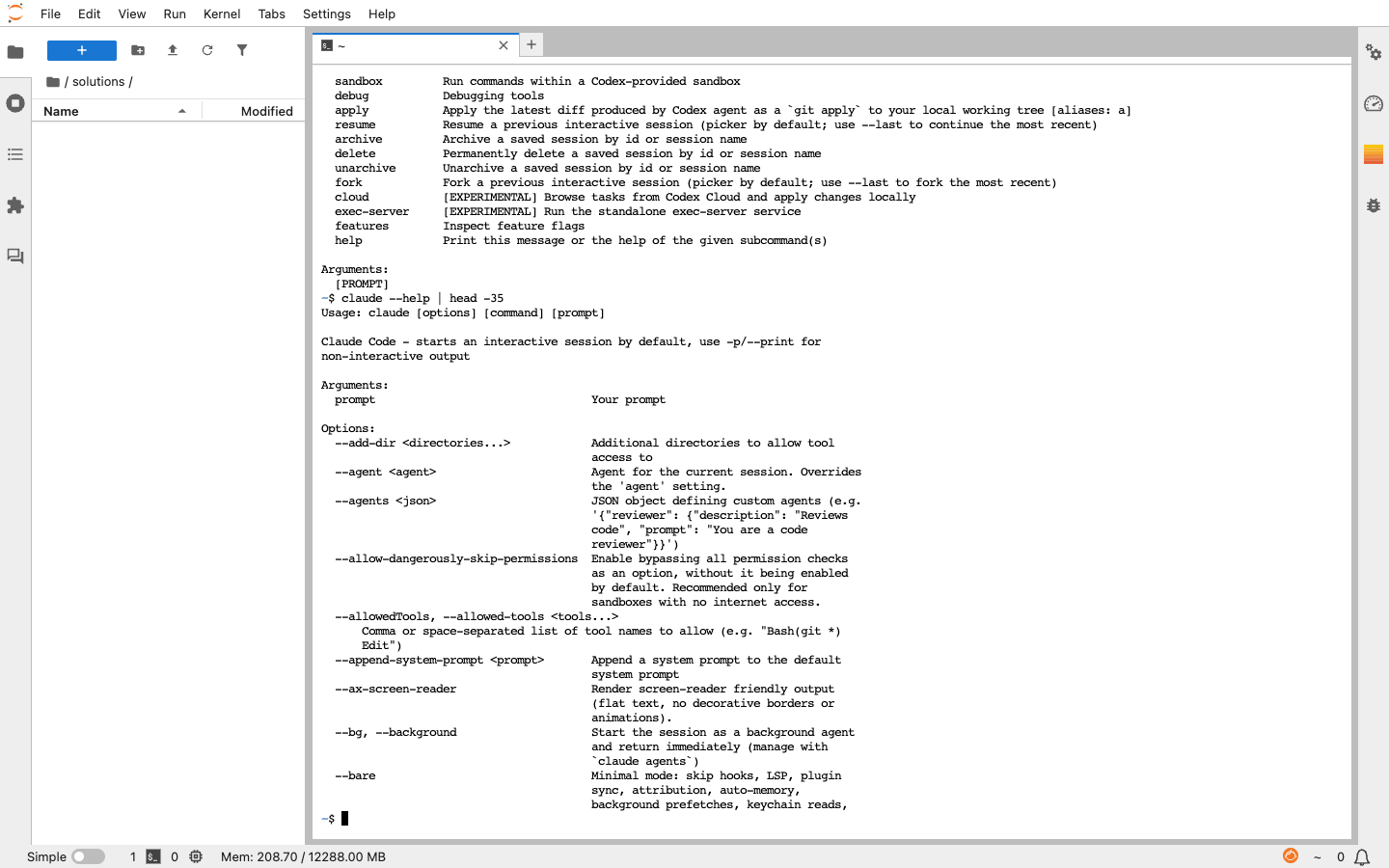 JupyterLab terminal showing Claude Code help with agent, tool and permission controls.
