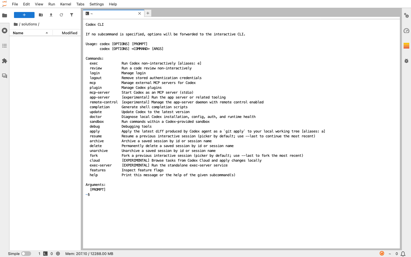 Authenticated JupyterLab workspace with a terminal displaying the available Codex CLI commands for execution, review, plugins, sandboxing and session control.